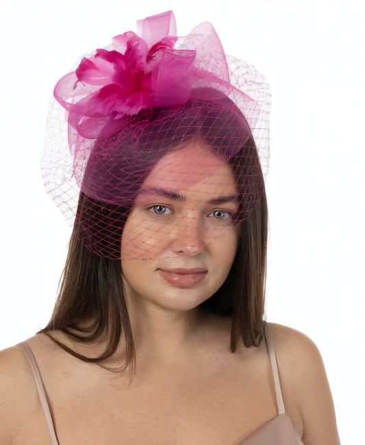 Bellissima Millinery Collection Women's Net Fascinator